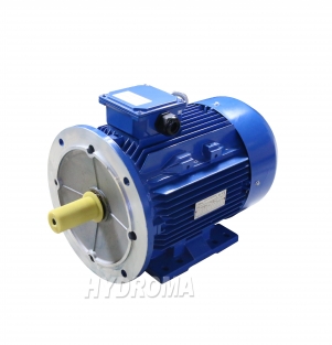 THREE PHASE AC MOTOR