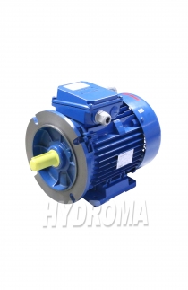 THREE PHASE AC MOTOR