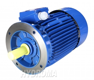 THREE PHASE AC MOTOR