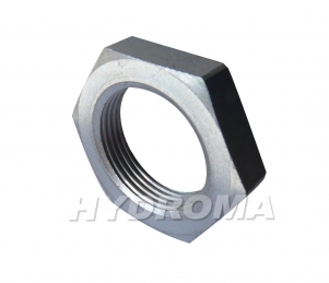 HEXAGONAL NUT